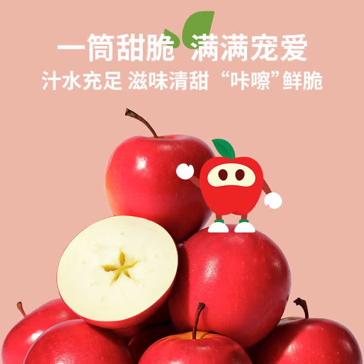 乐淇（ROCKIT）王一博代言新西兰火箭苹果5粒中筒装单筒245g起生鲜 新鲜水果 菜管家商品