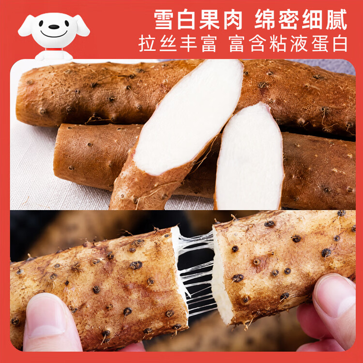 京鲜生&聚怀斋焦作温县 沙土铁棍山药净重6斤(盒长80/90公分)端午节礼盒 菜管家商品