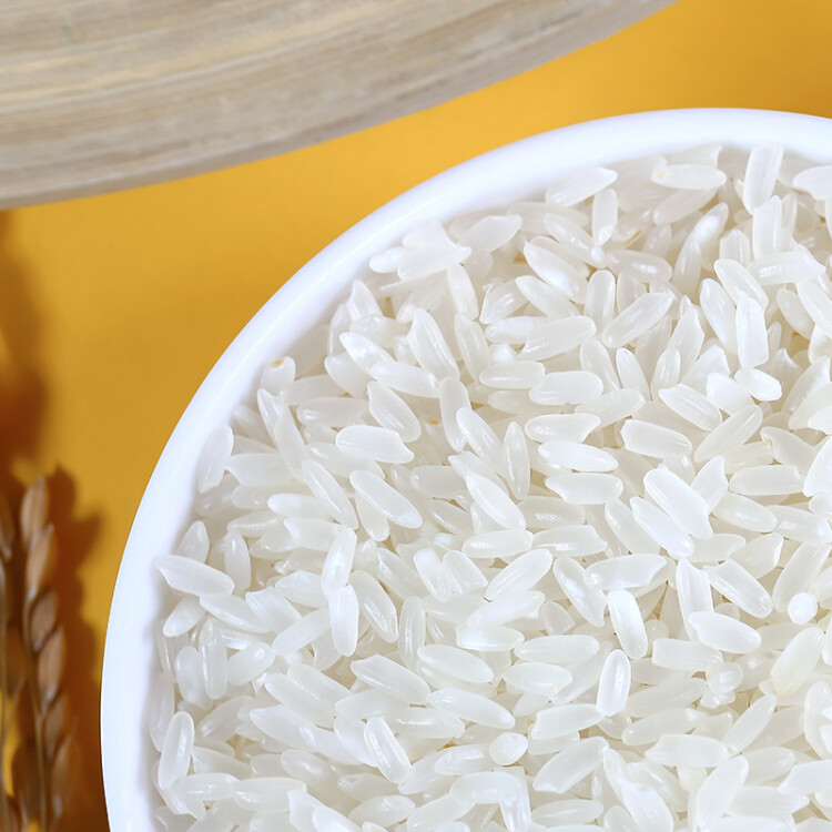 十月稻田 23年新米 五常稻香米 五常大米 10kg 东北大米 光明服务菜管家商品 