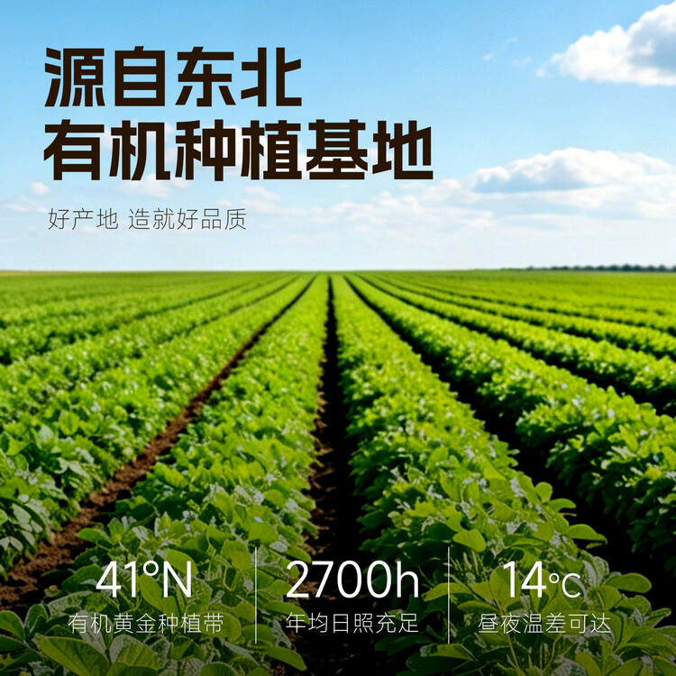 素养生活有机红花生400g 生花生米 花生豆 花生仁 东北四粒红 凉拌油炸 菜管家商品