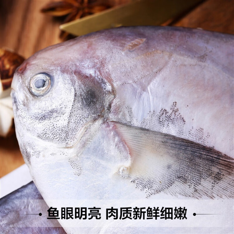 三都港 冷冻东海银鲳鱼550g 平鱼 深海鱼 生鲜 鱼类 海鲜水产 烧烤食材 光明服务菜管家商品 