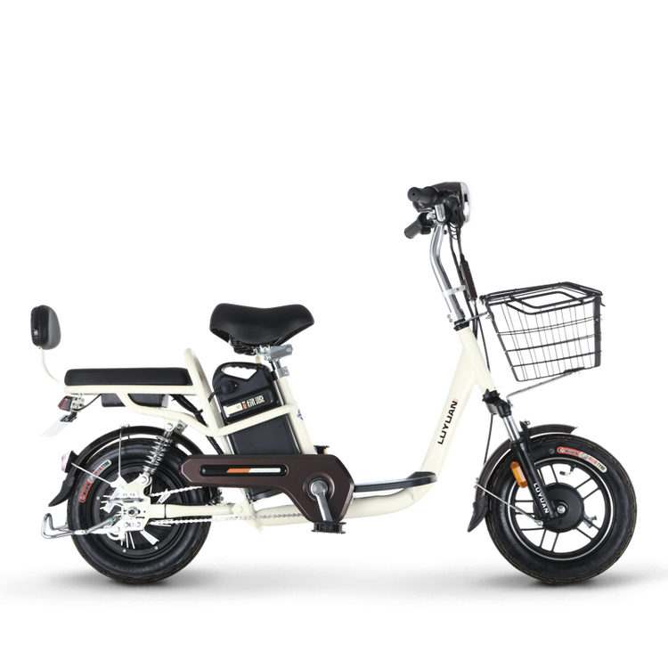 绿源新国标电动车48v小型成人电动自行车双人男女代步电瓶车锂电池