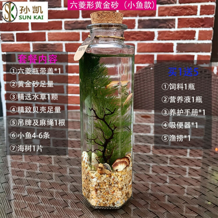 观赏鱼生态瓶微景观免换水diy水族箱办公桌面创意造景斗鱼玻璃缸六菱形黄金沙款 小鱼 图片价格品牌评论 京东