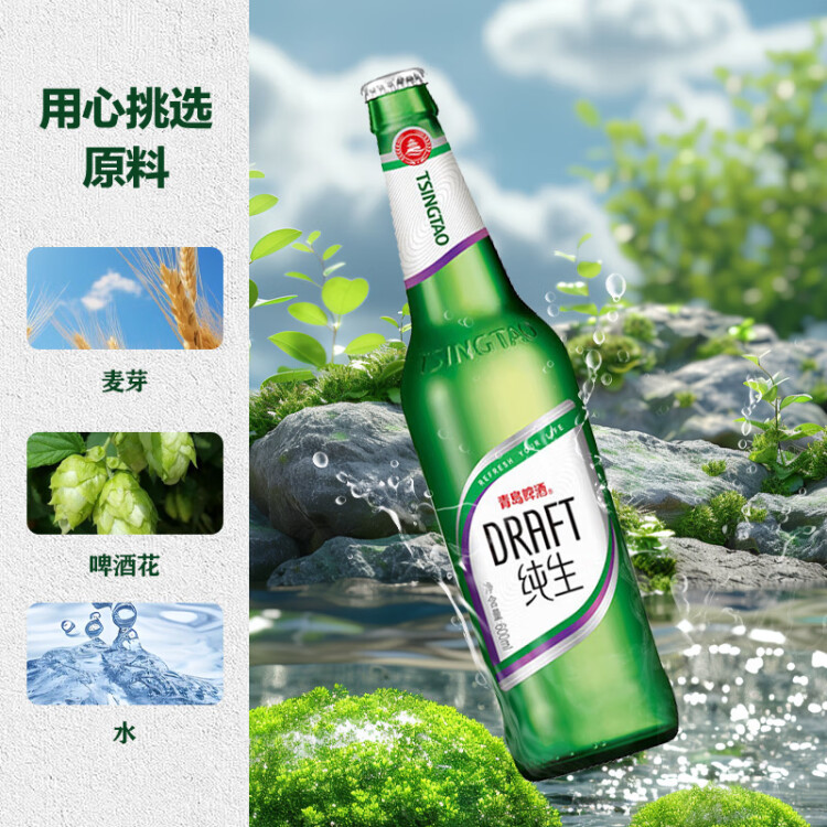 青島啤酒（TsingTao）純生8度600ml*12瓶 整箱 新老包裝隨機(jī)發(fā)貨 菜管家商品