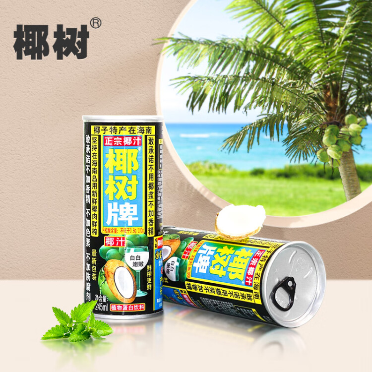 椰树牌正宗 椰子汁  245ml*24罐整箱装  植物蛋白饮料 菜管家商品