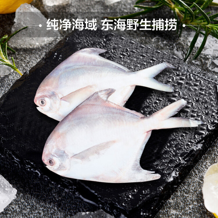 三都港 冷冻东海银鲳鱼450g 3条装 平鱼 海鱼 年货 生鲜 鱼类 海鲜水产