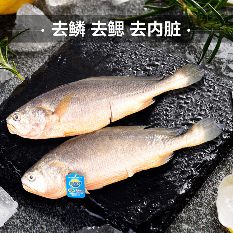 三都港冷凍三去大黃魚凈重2斤/2條裝 寧德黃花魚 深海生鮮魚類 海鮮水產(chǎn) 菜管家商品