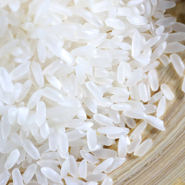 十月稻田 23年新米 五常稻香米 五常大米 10kg 东北大米 光明服务菜管家商品 