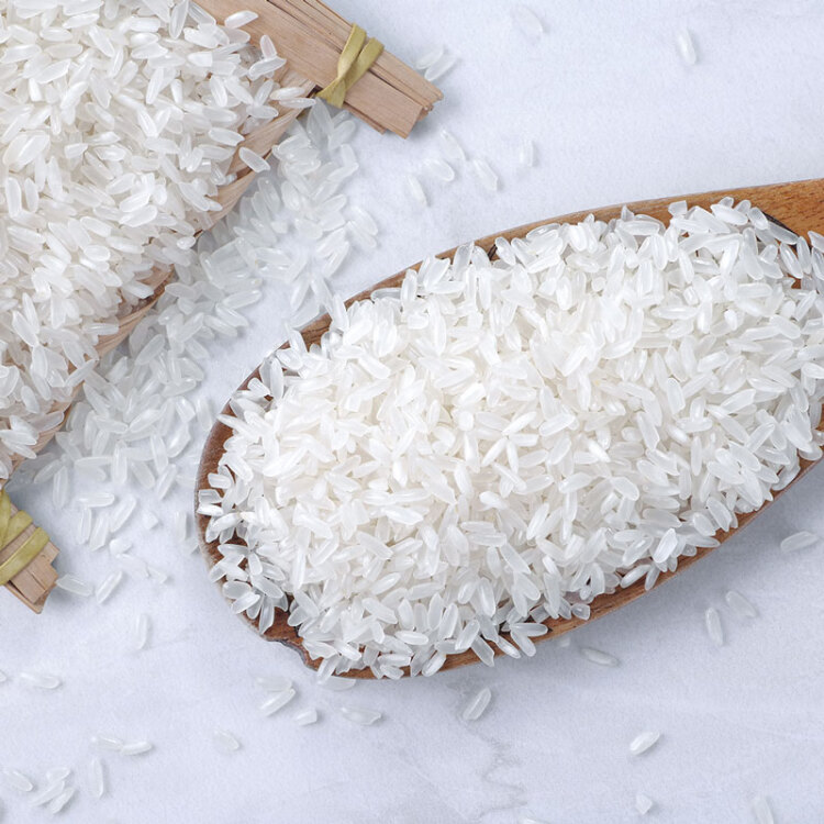十月稻田 23年新米 生态稻香米 5kg 东北大米  粳米 5公斤 光明服务菜管家商品 