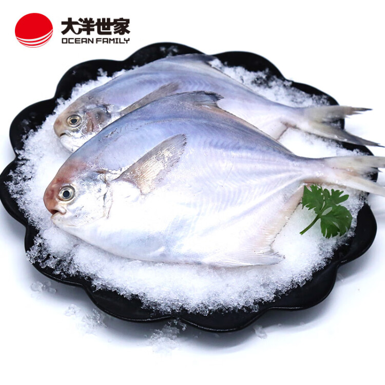 大洋世家 舟山精品银鲳鱼450g/袋 （2条装） 平鱼 生鲜  火锅烧烤生鲜食材 光明服务菜管家商品 