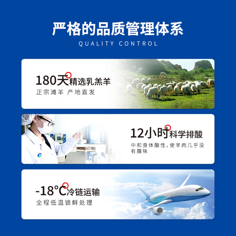 宁鑫 宁夏盐池滩羊  原切羊肉卷300g 火锅食材 清真食品 地理标志产品 菜管家商品