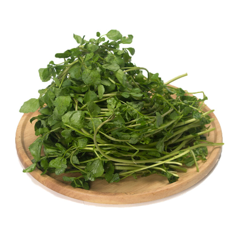 顺丰现货新鲜西洋菜豆瓣菜3斤凉菜水菜农家自种绿色蔬菜500g 1斤只发江浙沪 图片价格品牌评论 京东