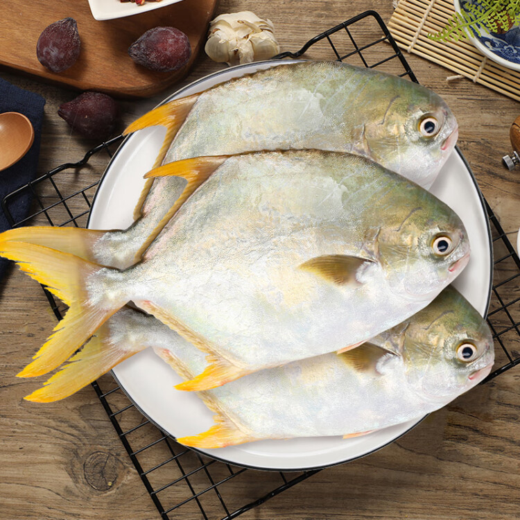 翔泰 冷冻海南金鲳鱼1.2kg /3-4条  海鱼  生鲜鱼类  海鲜水产 光明服务菜管家商品 