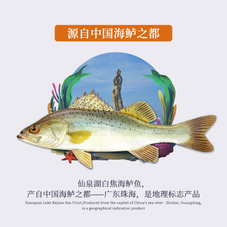 仙泉湖三去白蕉海鲈鱼1kg*1条净膛冷冻刺少肉厚地标海鲜水产 菜管家商品