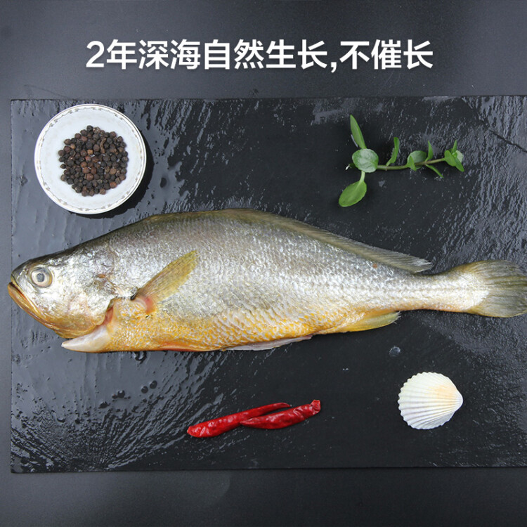 三都港 冷冻三去大黄鱼450g/1条 黄花鱼 深海鱼 生鲜 鱼类 海鲜水产 光明服务菜管家商品