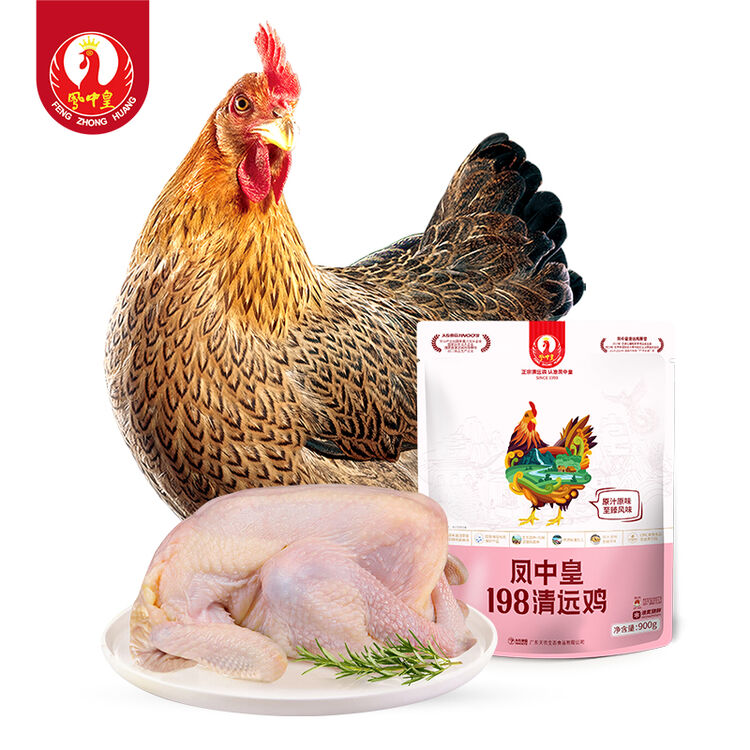 凤中皇198纯种清远鸡800g供港高品质山林散养土鸡走地鸡母鸡整鸡肉无