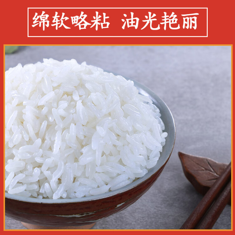 十月稻田 23年新米 寒地之最 五常有机稻香米 5kg 五常大米 东北大米 10斤 光明服务菜管家商品 
