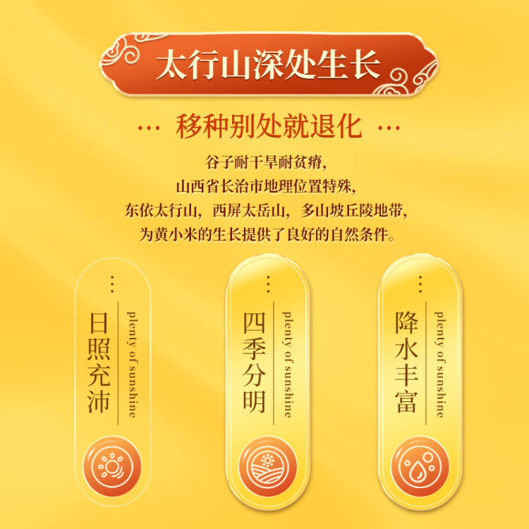 十月稻田 24年新米 山西黄小米 2.5kg 五谷杂粮 粗粮 早餐小米粥 真空5斤 菜管家商品