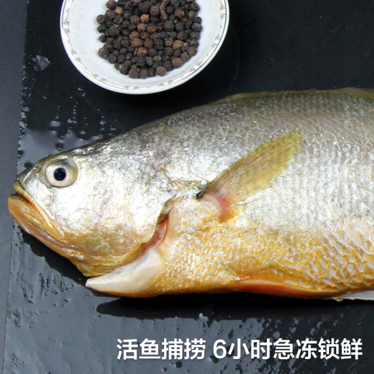 三都港 冷冻三去大黄鱼450g/1条 黄花鱼 深海鱼 生鲜 鱼类 海鲜水产 光明服务菜管家商品