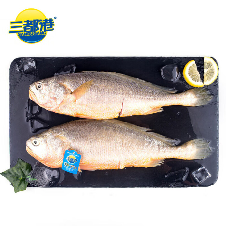 三都港 冷凍三去大黃魚1kg/2條裝 黃花魚 深海魚 生鮮 魚類 海鮮水產