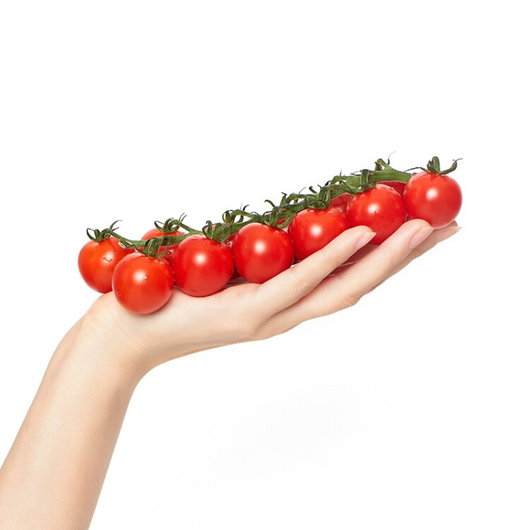 枝纯 温室串采糖果番茄 小西红柿 供港品质（GAP认证）新鲜水果蔬菜圣女果 198g/盒 沙拉食材 休闲零食 光明服务菜管家商品 