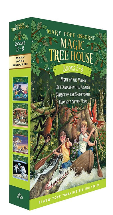 magictreehouse神奇树屋进口原版套装58册桥梁书章节书