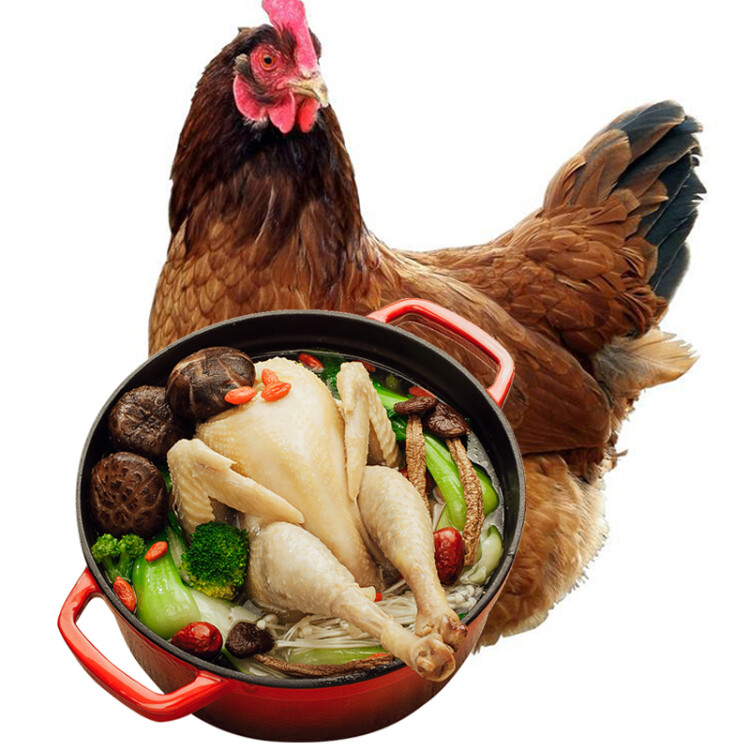 CP正大食品(CP) 老母鸡 1.4kg  谷物杂粮饲养500天 冷冻