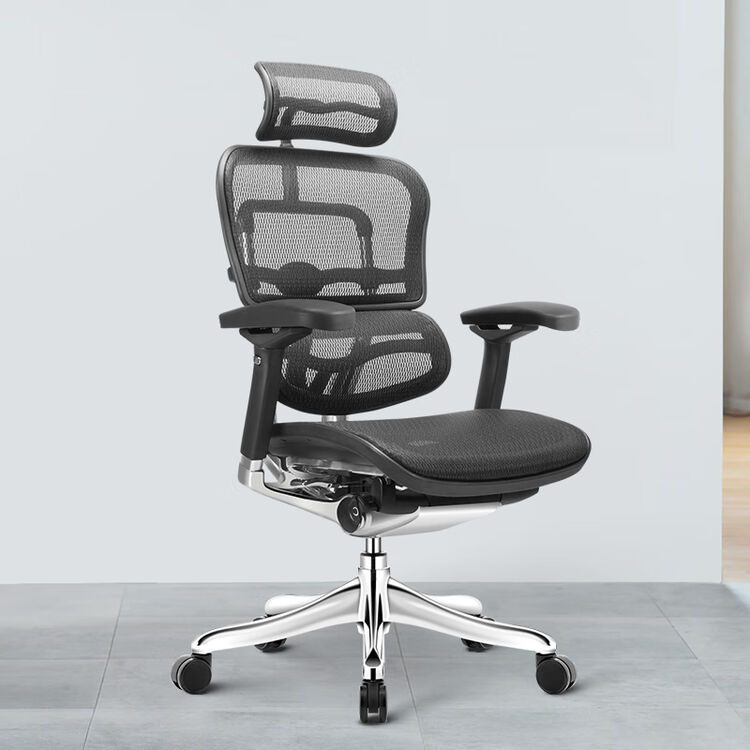 保友(ergonor)金豪e精英版 人体工学椅 电脑椅办公椅子 可躺护腰电竞