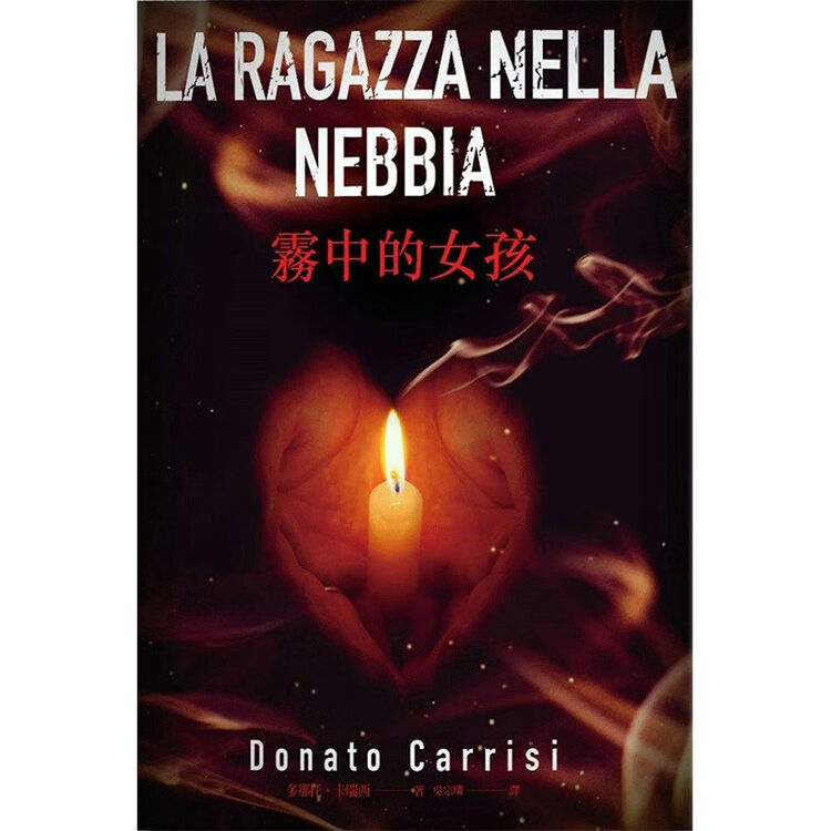 现货台版雾中的女孩电影迷雾追凶原著小說多那托 卡瑞西精神病院作者悬疑推理意大 图片价格品牌评论 京东