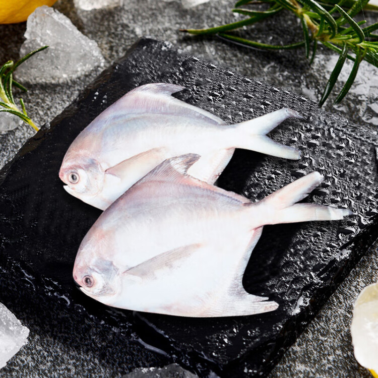 三都港 冷冻东海银鲳鱼550g 平鱼 深海鱼 生鲜 鱼类 海鲜水产 烧烤食材 光明服务菜管家商品 