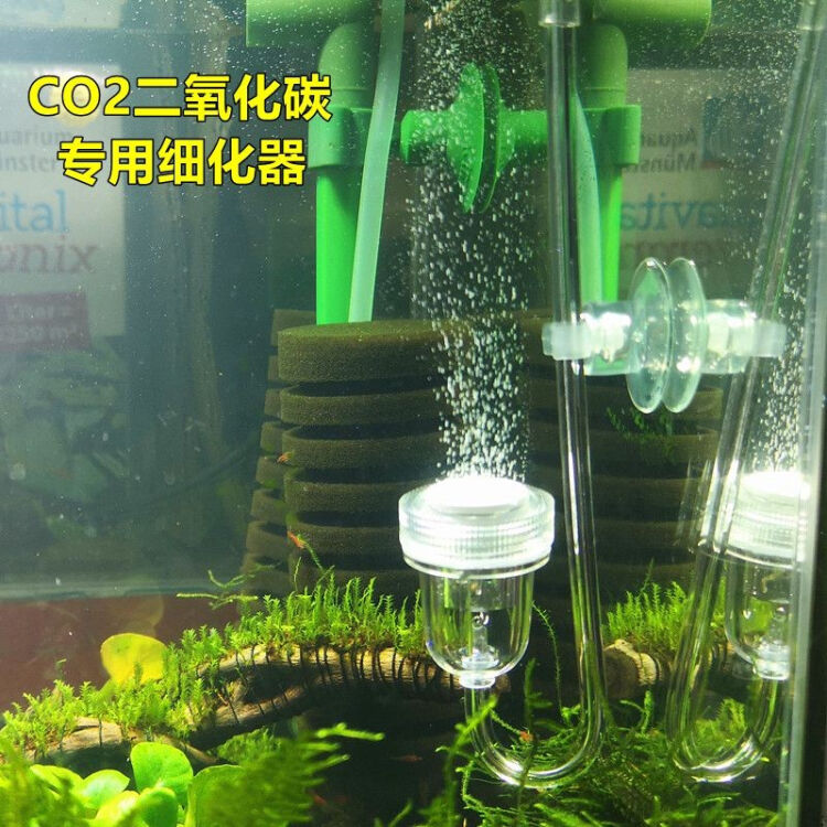 鱼缸水草缸红草阳性草红宫廷迷你矮二氧化碳co2细化器雾化器扩散器钢瓶专用co2细化器l号送气管 直径约23mm 图片价格品牌评论 京东