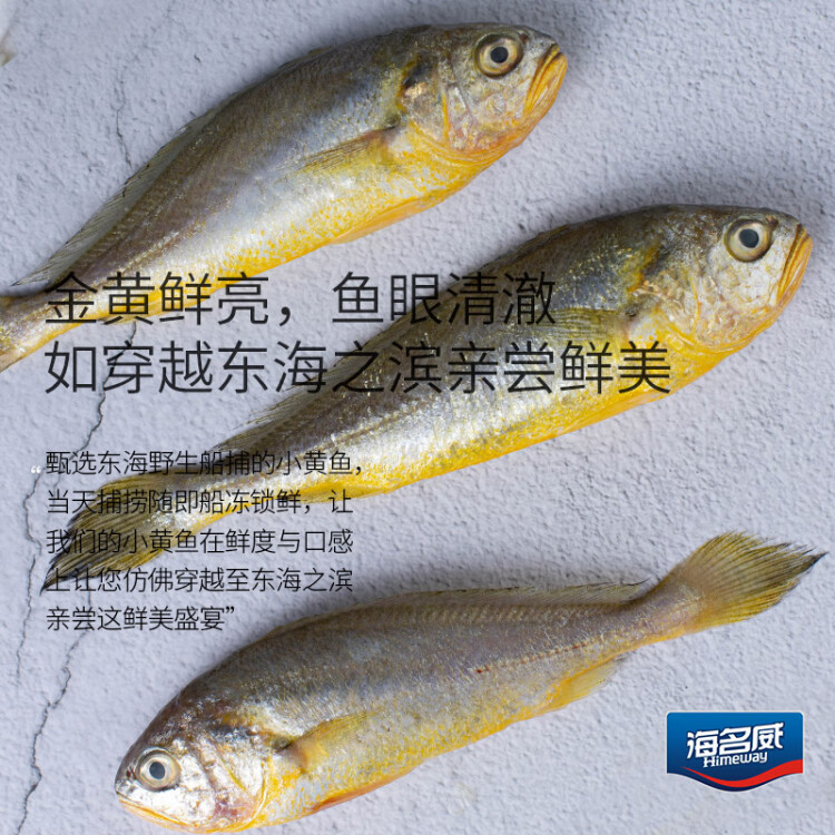 海名威 冷凍東海小黃魚(yú)500g 16-20條 海魚(yú) 生鮮魚(yú)類 海鮮水產(chǎn) 燒烤 菜管家商品