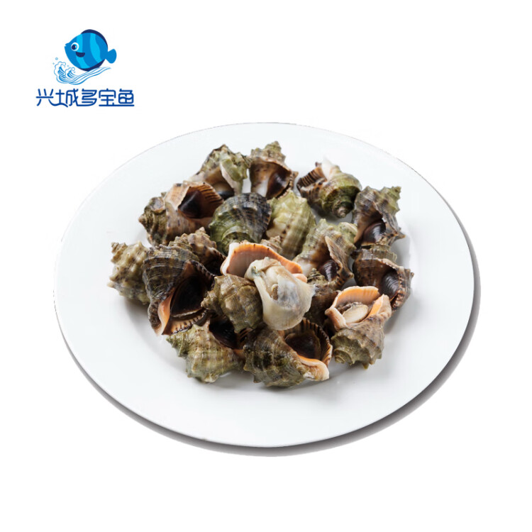辽东湾冻煮海螺500g1袋 袋装  海鲜水产 光明服务菜管家商品 