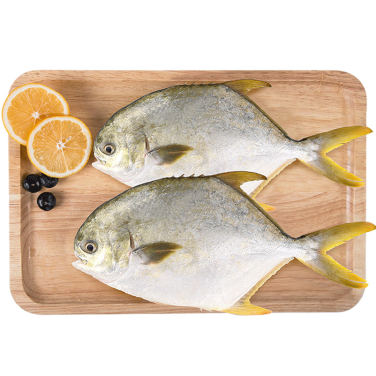 翔泰冷冻海南金鲳鱼700g 2条 生鲜鱼类 深海鱼  烧烤食材 海鲜水产 光明服务菜管家商品 