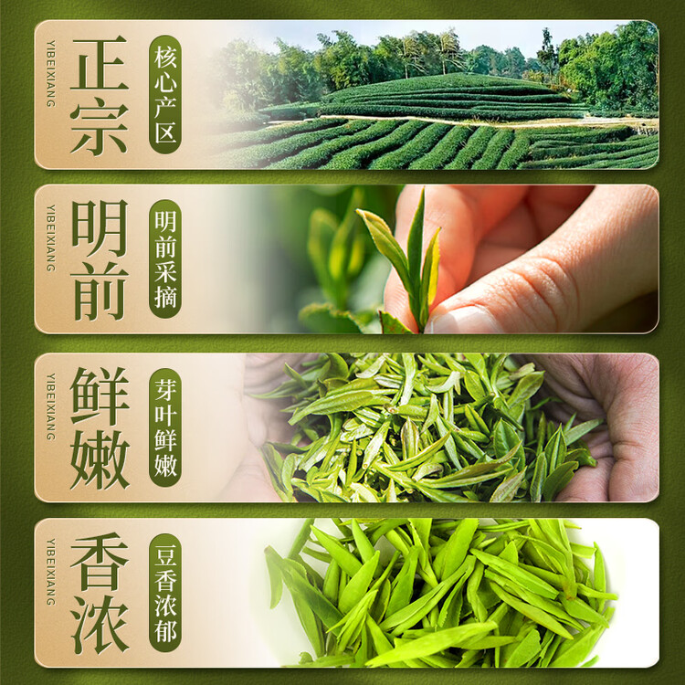 一杯香茶叶绿茶正宗明前龙井茶250g2025新茶过年货礼盒装送礼自己喝自饮 菜管家商品