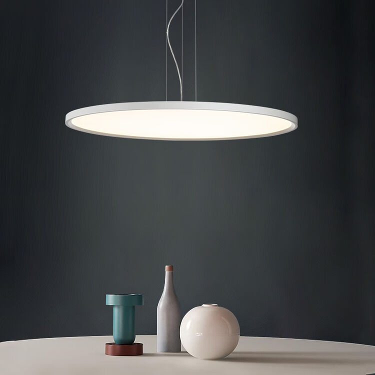 新特丽圆形卧室吊灯现代简约餐厅灯单头led书房灯具 皓月 120002白色