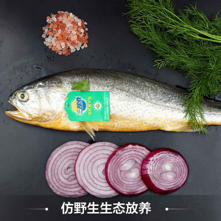三都港 冷冻有机大黄鱼500g 黄花鱼 深海鱼 生鲜 鱼类 海产水产 光明服务菜管家商品 