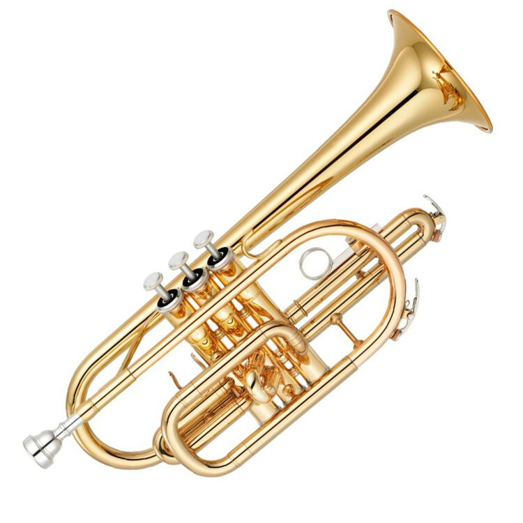 sakaya萨卡亚短号scr265