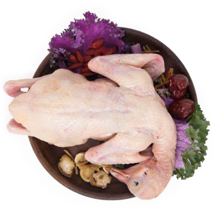 硒全食美富硒乳鴿 300g/只 冷凍 供港鴿子 全程冷鏈燒烤食材生鮮鴿子肉