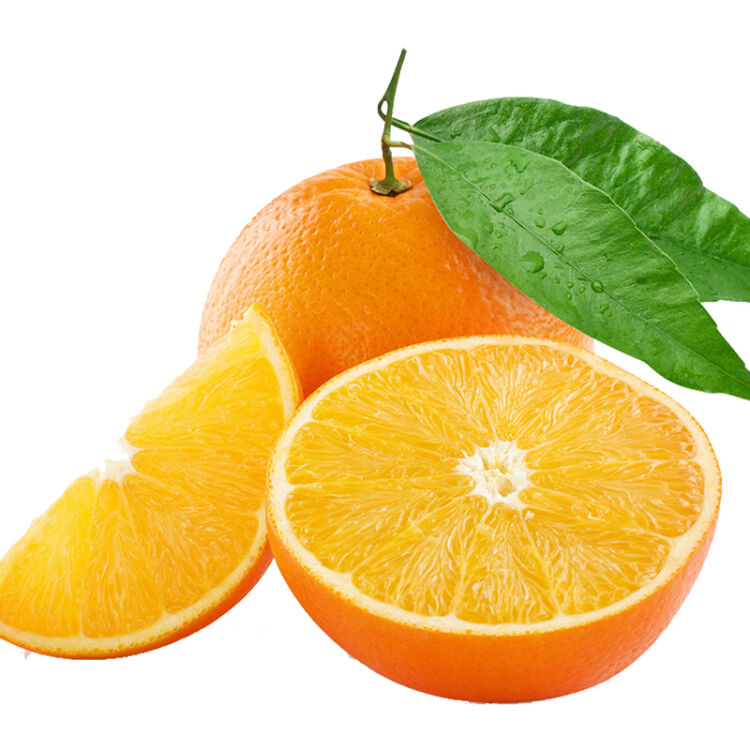 柑橘类水果图示图片