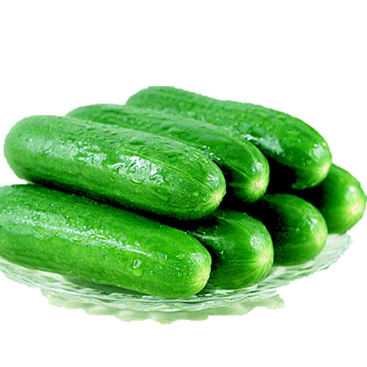 麦果苏新鲜水果青瓜满168顺丰包邮西餐凉拌沙拉蔬菜 300g