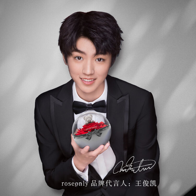 roseonly王俊凯同款永生花玫瑰熊心动球嫣红情人节礼物节日礼盒 嫣