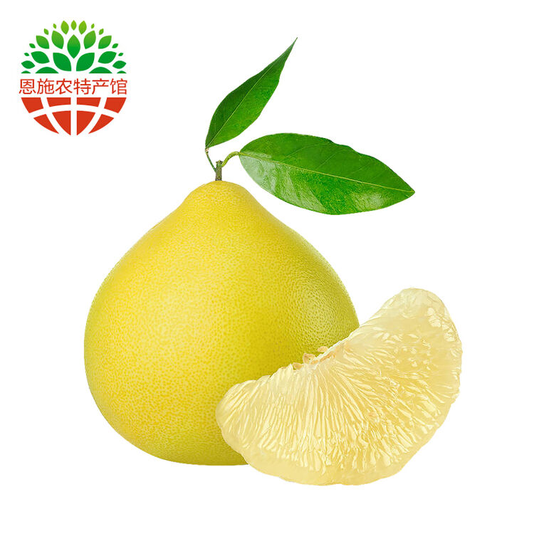 【恩施农特产馆】贡水蜜柚贡水白柚 2个礼盒装2.5kg 恩施特产宣恩柚子
