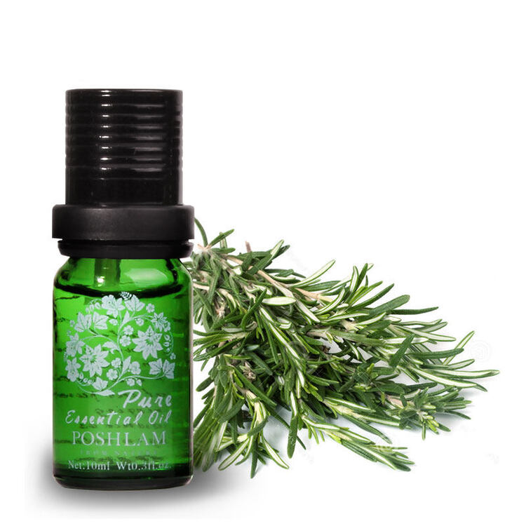 宝琪兰 马鞭草酮迷迭香精油10ml 紧致肌肤单方精油