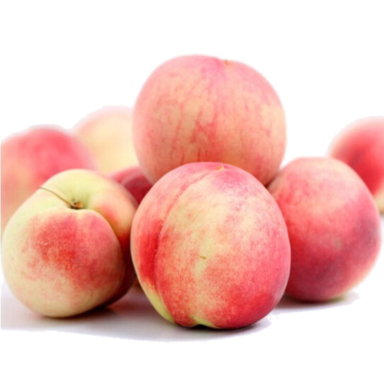 吉果多 云南大理冬桃甜脆毛桃子水蜜桃 2.5kg精选