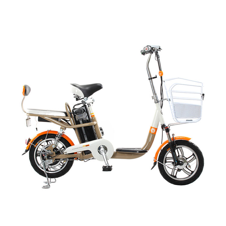 gamma/捷马电动车14寸电动自行车48v锂电车都市男女多功能   灵姿 浅