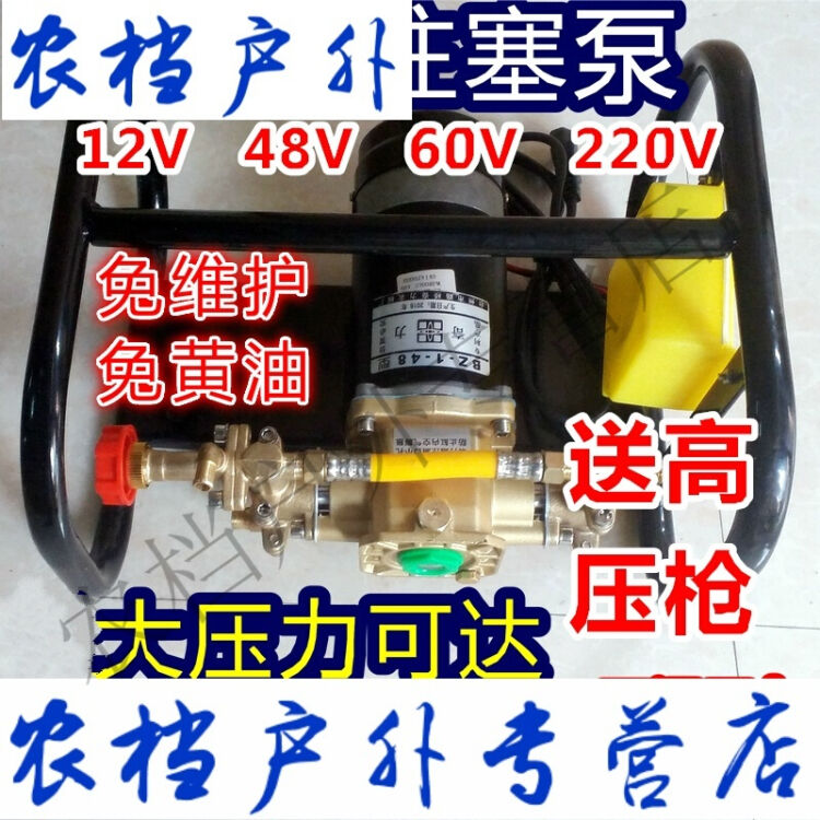 12v48v60v220v奇力雙缸柱塞泵打藥機電動噴霧器高壓洗車清洗機 高壓泵