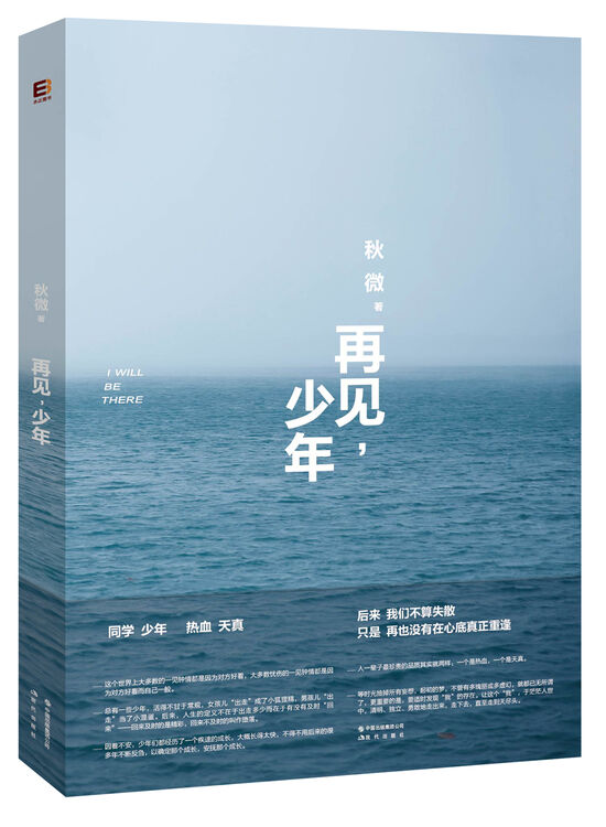 再见,少年
