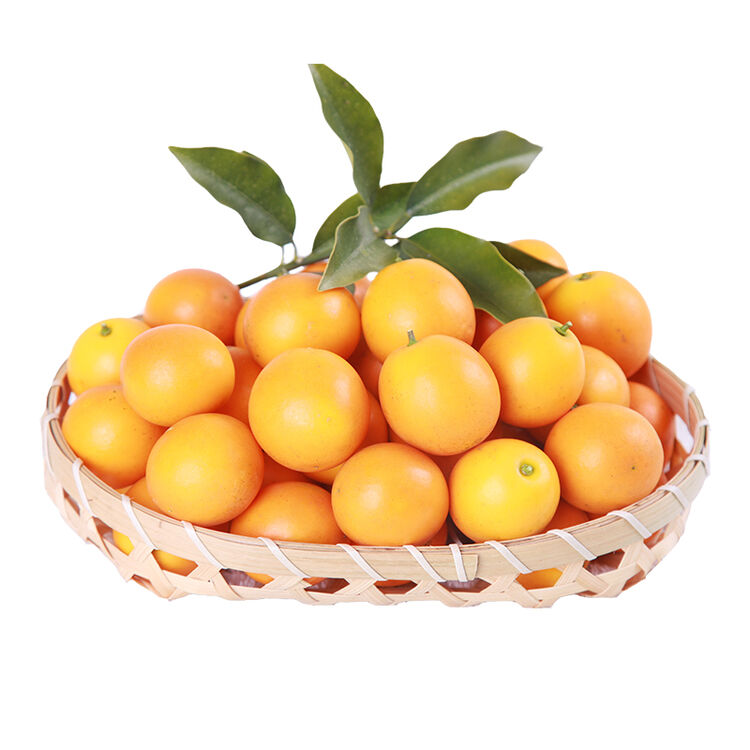 清晨果园 广西融安滑皮金桔 新鲜水果金橘小金桔脆皮橘子 2.