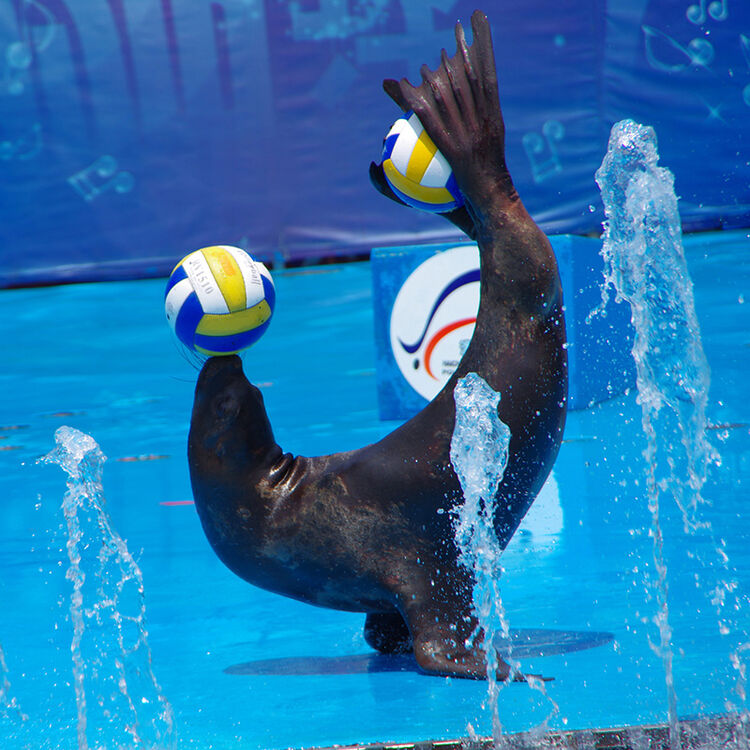 成都海昌极地海洋公园门票标准成人票(海洋公园 水母馆 4d影院)